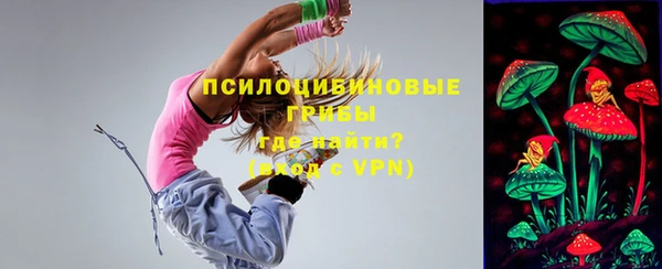 эйфоретик Нефтекумск