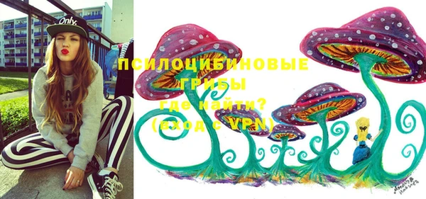 круглые Аша