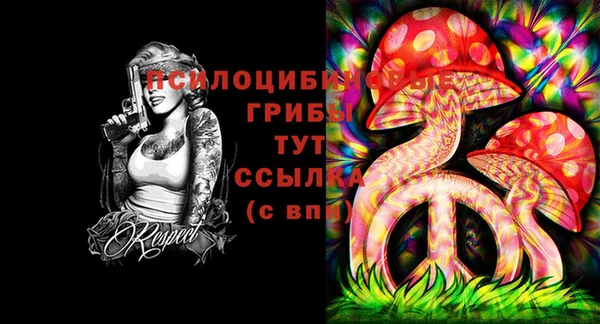 эйфоретик Нефтекумск
