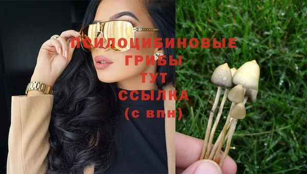 стафф Нея