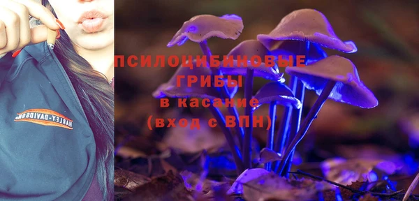 стафф Нея