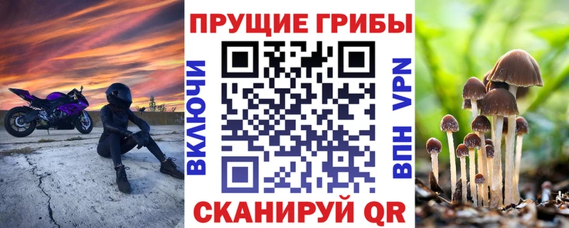 Галлюциногенные грибы GOLDEN TEACHER  Рыбинск 