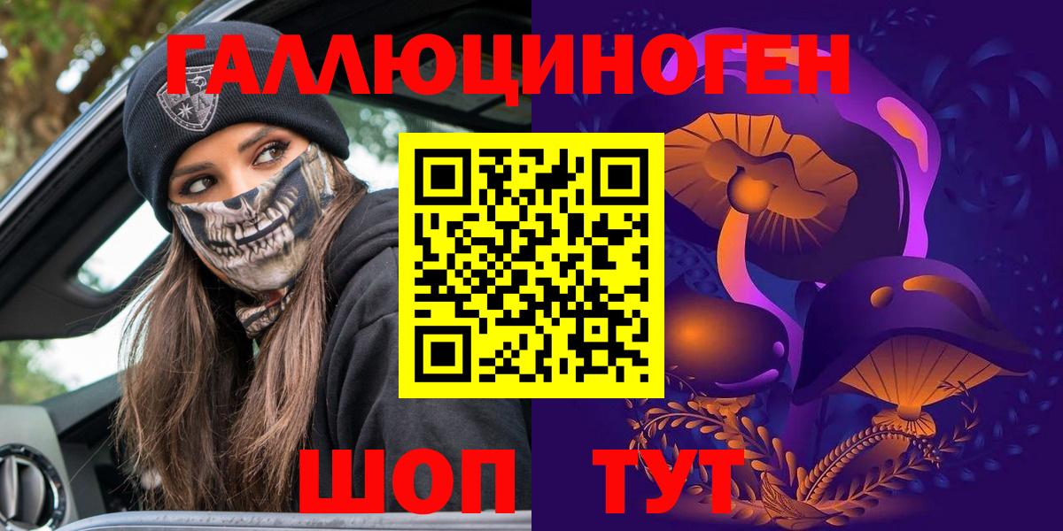 Псилоцибиновые грибы Psilocybe Рыбинск