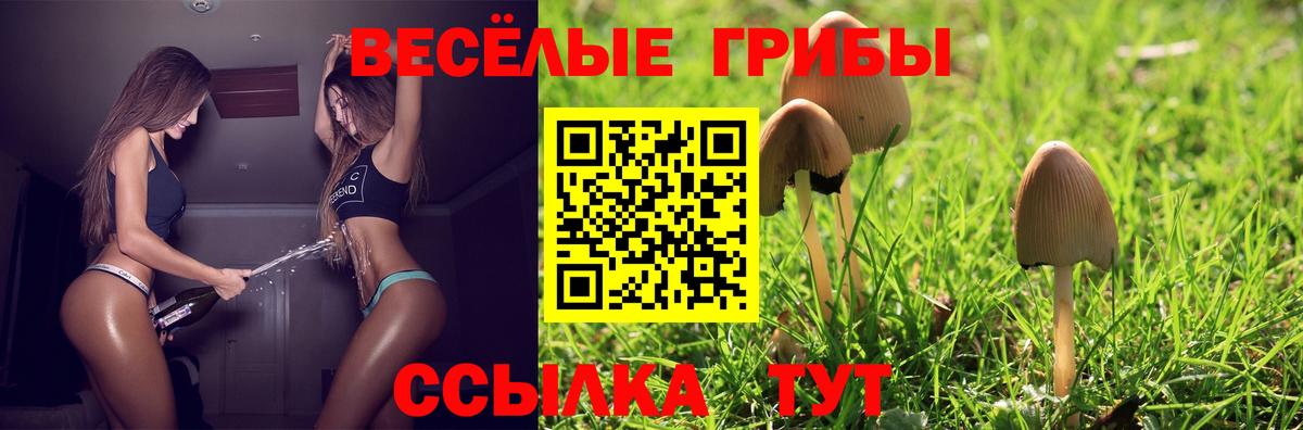 Псилоцибиновые грибы Psilocybe  Вход с VPN  Рыбинск  купить наркоту  Галлюциногенные грибы Psilocybine cubensis 